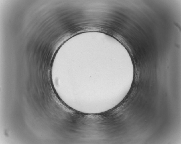 X0000099300805200805301132