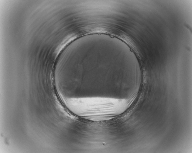 X0000099300806200805301132