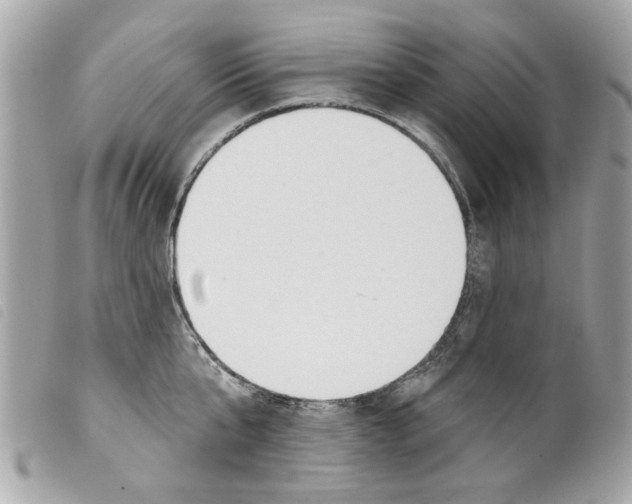 X0000099300807200805301132