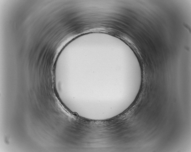 X0000099300808200805301132