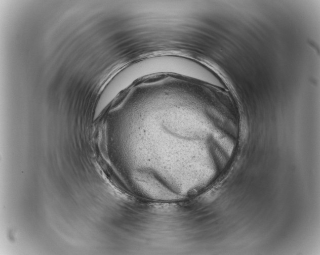 X0000099300809200805301132