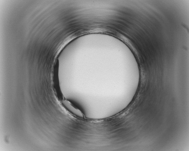 X0000099300810200805301132