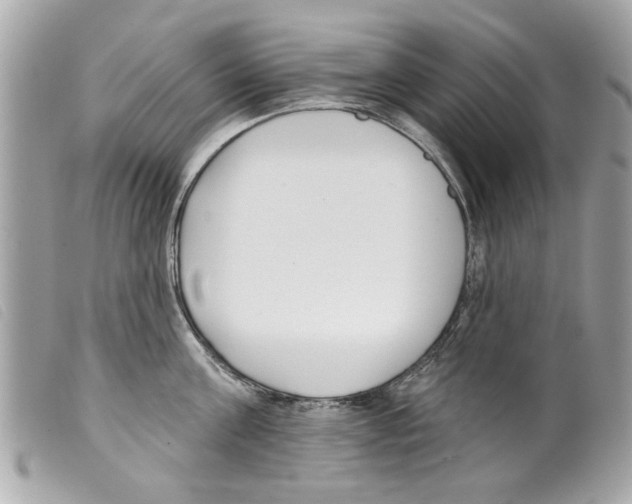 X0000099300811200805301132
