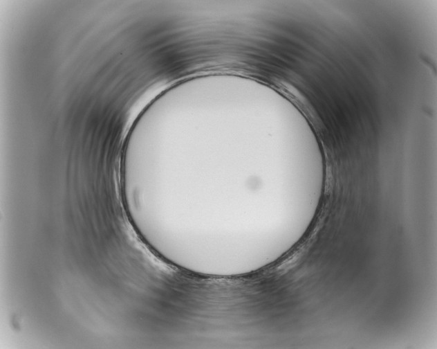 X0000099300812200805301132