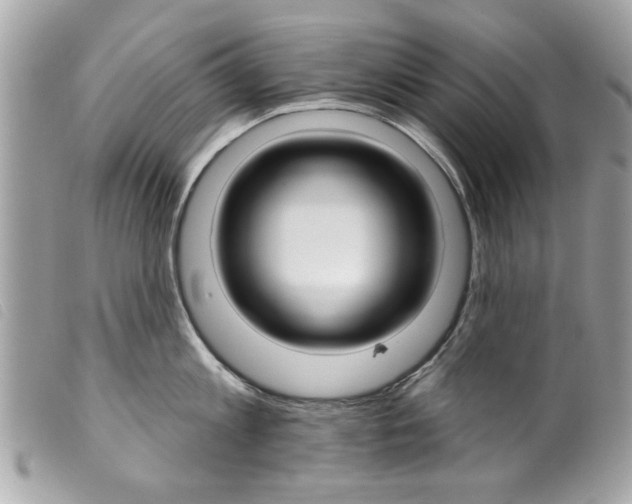 X0000099300813200805301132