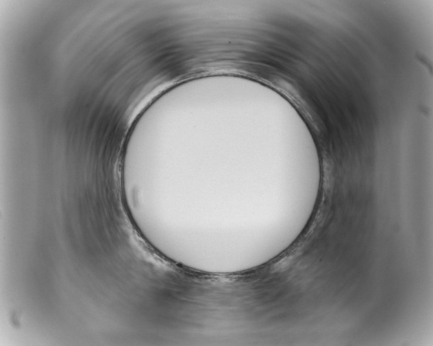 X0000099300814200805301132