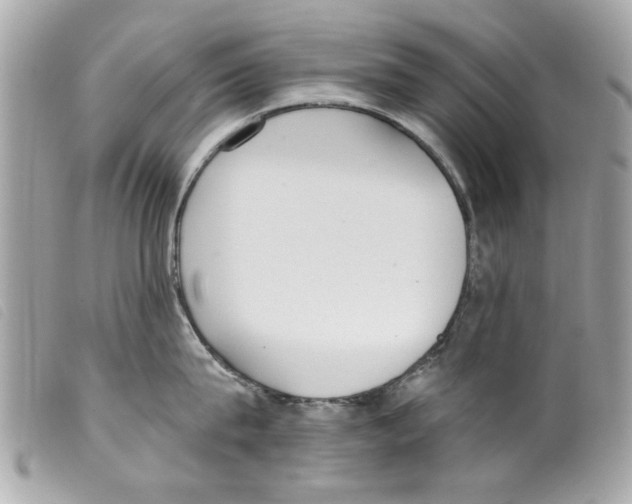 X0000099300815200805301132
