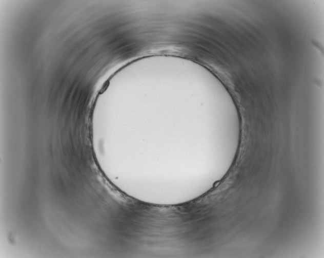 X0000099300816200805301132
