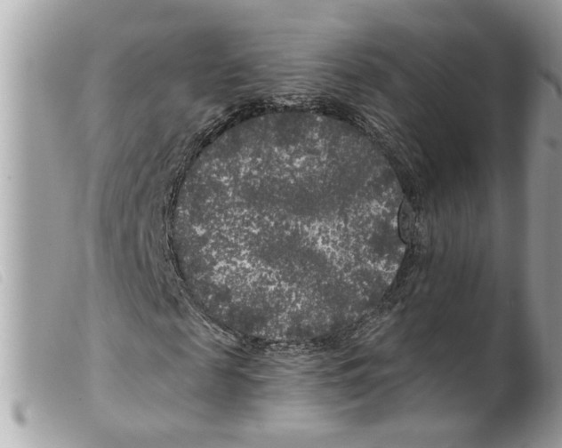 X0000099300817200805301131
