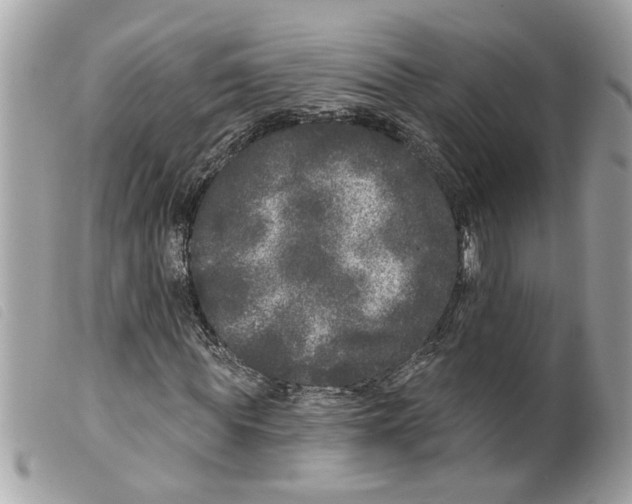 X0000099300819200805301131