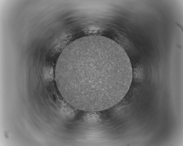 X0000099300820200805301131