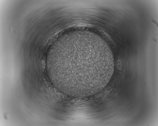 X0000099300821200805301131