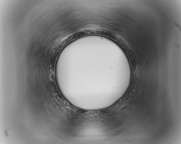 X0000099300822200805301131