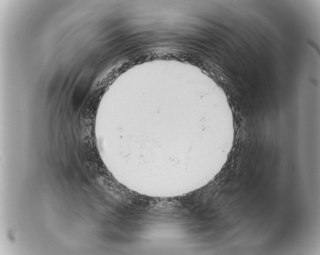 X0000099300824200805301131