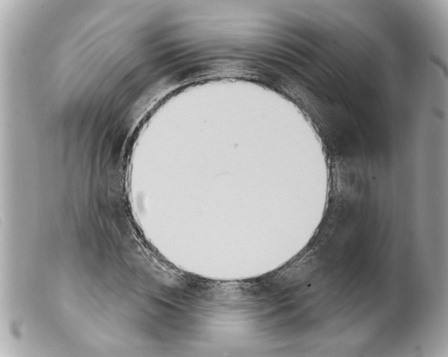 X0000099300828200805301131