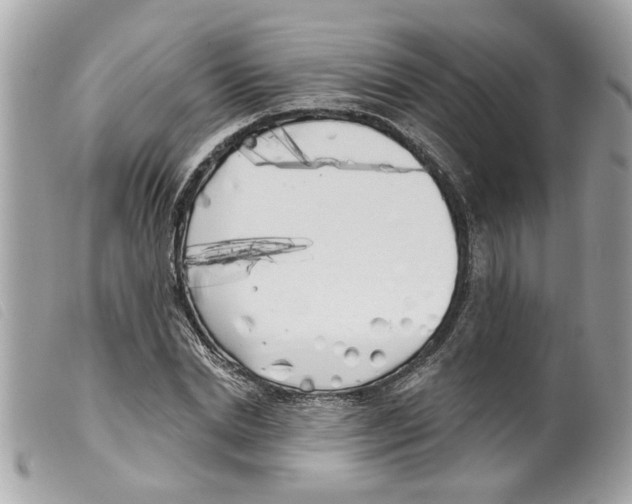 X0000099300830200805301131