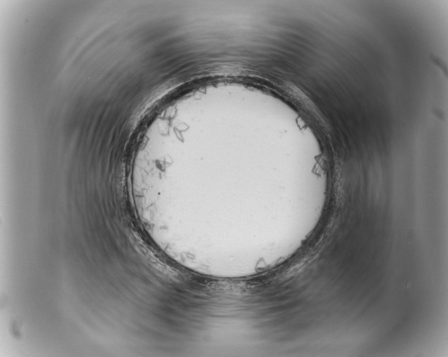X0000099300831200805301131
