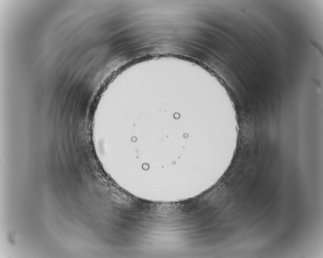 X0000099300832200805301131