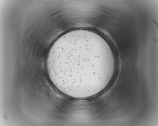 X0000099300833200805301131