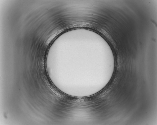 X0000099300834200805301131