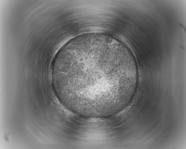 X0000099300835200805301131