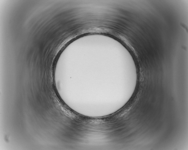X0000099300837200805301131