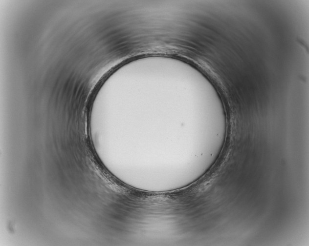 X0000099300838200805301131