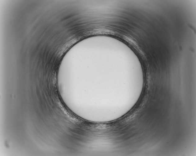X0000099300841200805301132