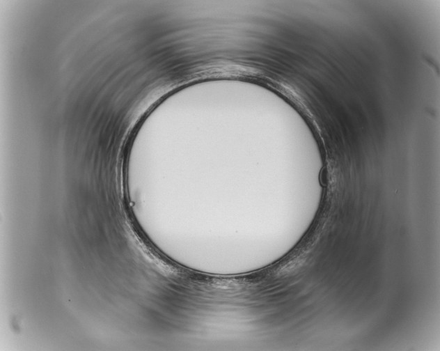 X0000099300843200805301132