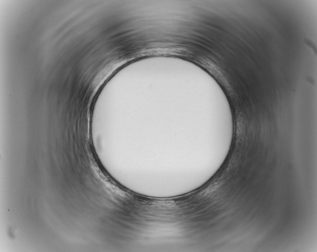 X0000099300844200805301132