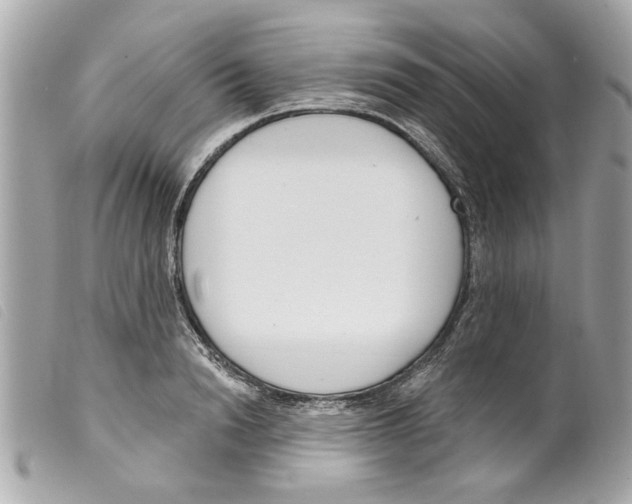 X0000099300846200805301132