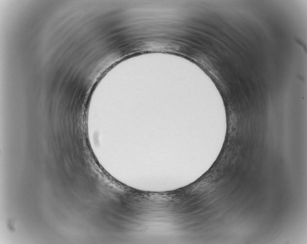 X0000099300848200805301132