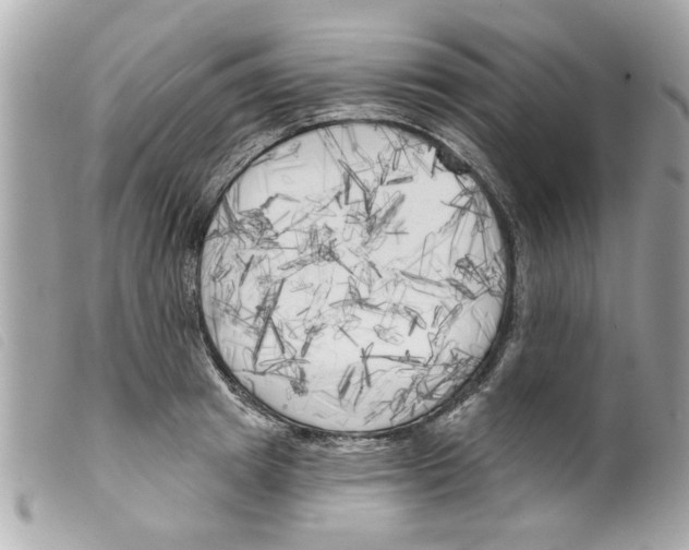 X0000099300849200805301132