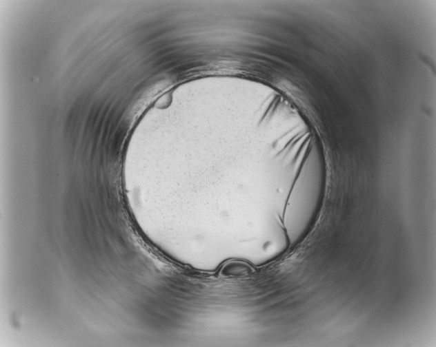 X0000099300850200805301132