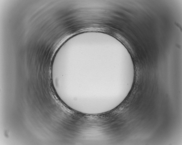 X0000099300852200805301132