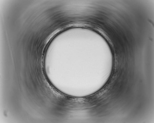 X0000099300853200805301132