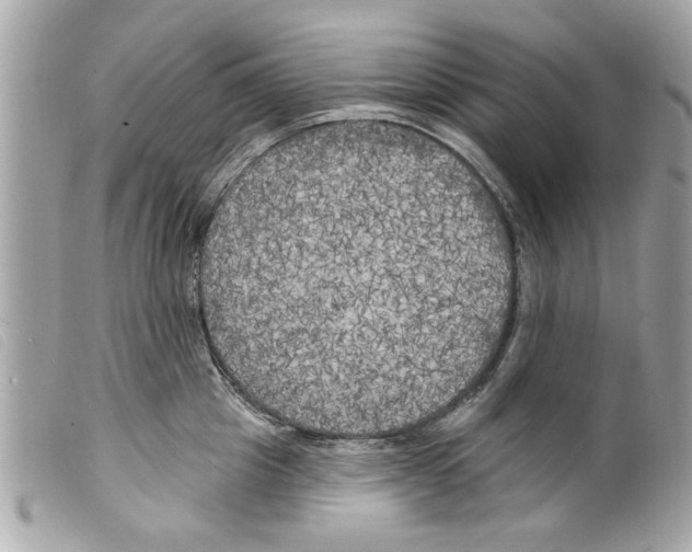 X0000099300857200805301132