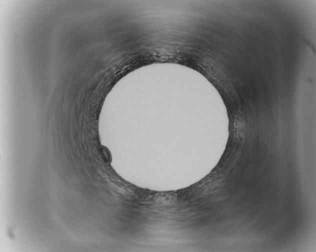 X0000099300865200805301131