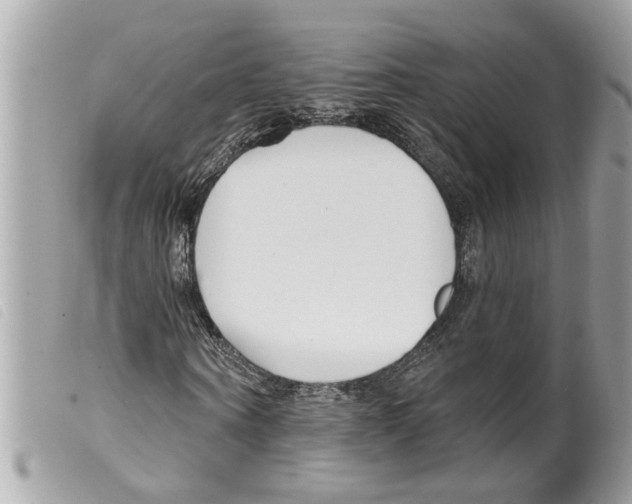 X0000099300866200805301131