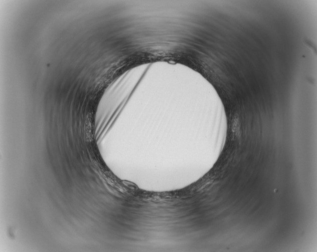 X0000099300868200805301131