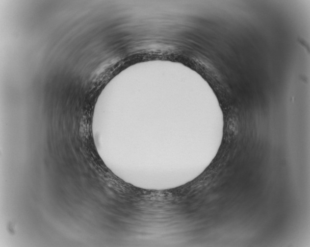 X0000099300869200805301131