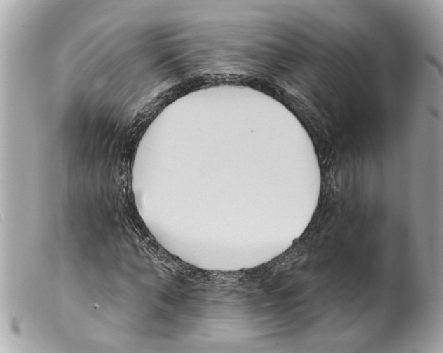 X0000099300870200805301131