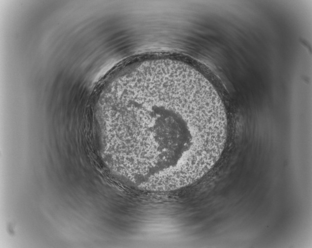 X0000099300871200805301131