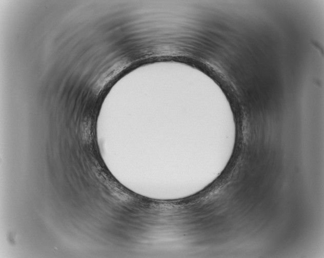 X0000099300873200805301131