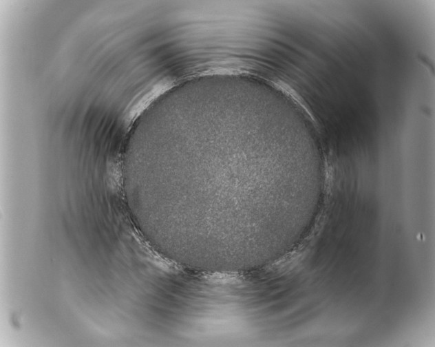 X0000099300874200805301131
