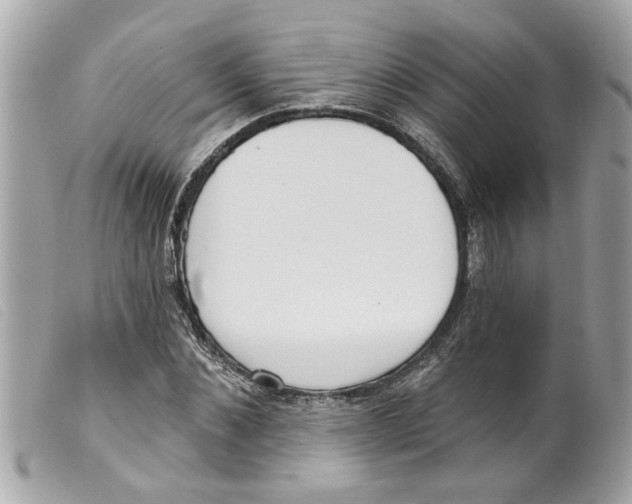 X0000099300876200805301131