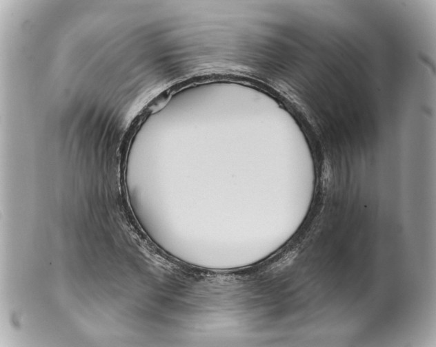 X0000099300877200805301131