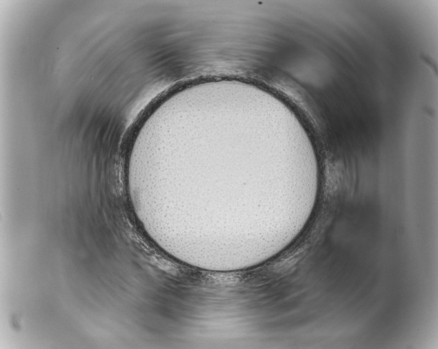 X0000099300878200805301131