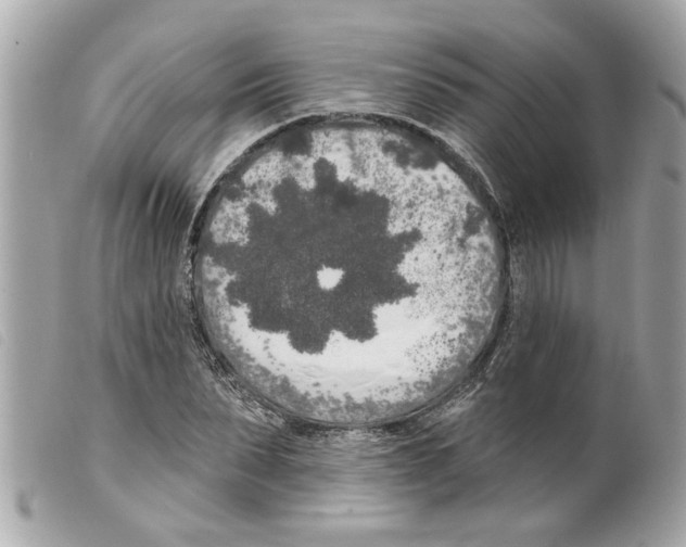 X0000099300879200805301131