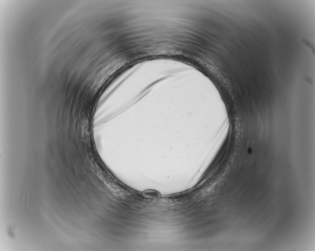 X0000099300881200805301131